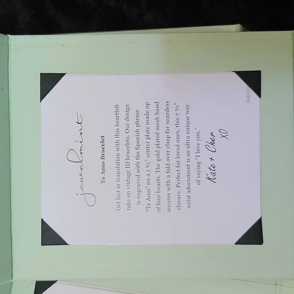 Empty Jewelmint boxes (pale green newer generation boxes) - Picture 1 of 7